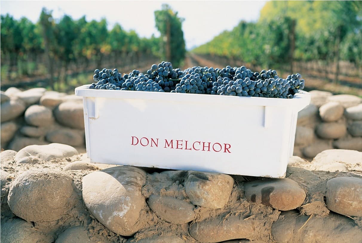 Don Melchor — en vertikal över tre rätter